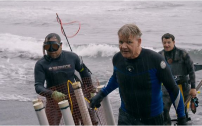 Chef Ramsay Spearfishing In Maui