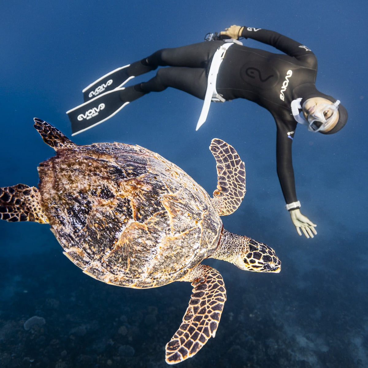 Diving